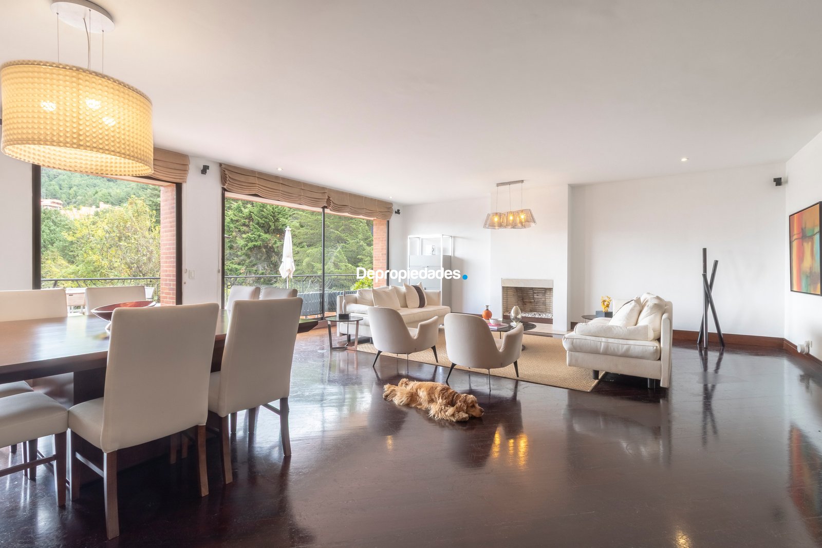 Amplitud con vista panorámica y terraza · DP-13 - foto 6
